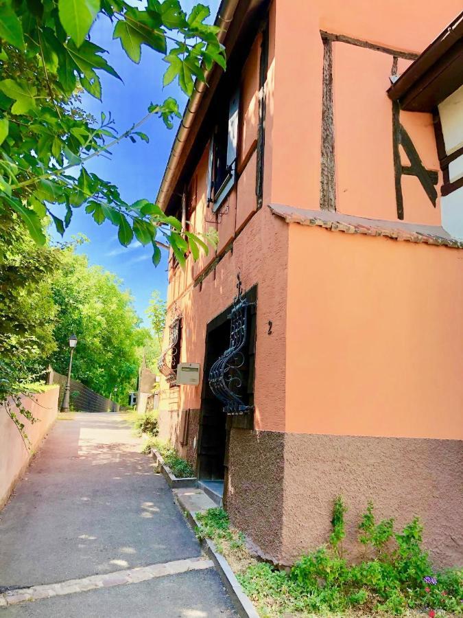 Gite "Rempart Sud" A Ribeauville Zewnętrze zdjęcie
